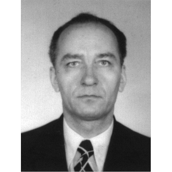 Image module