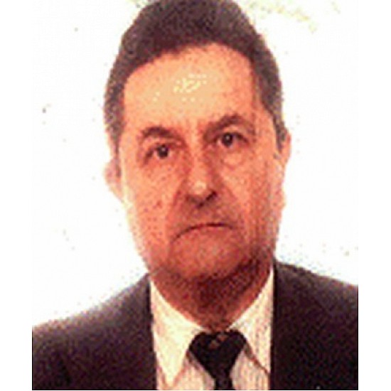 Image module