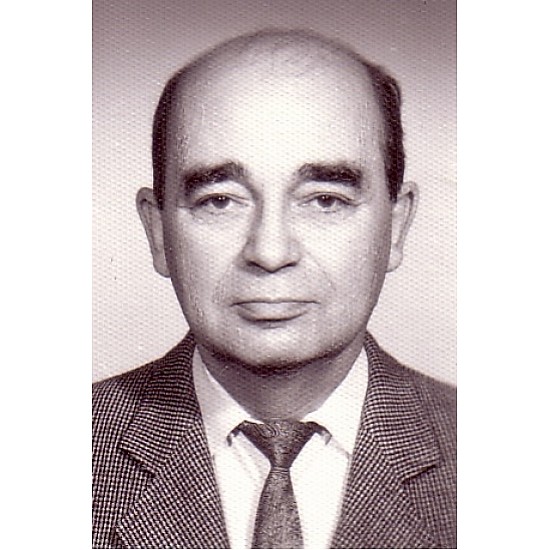 Image module
