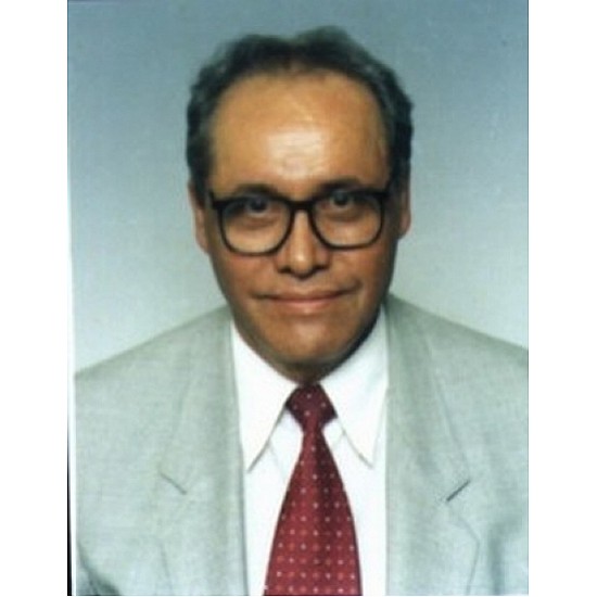 Image module