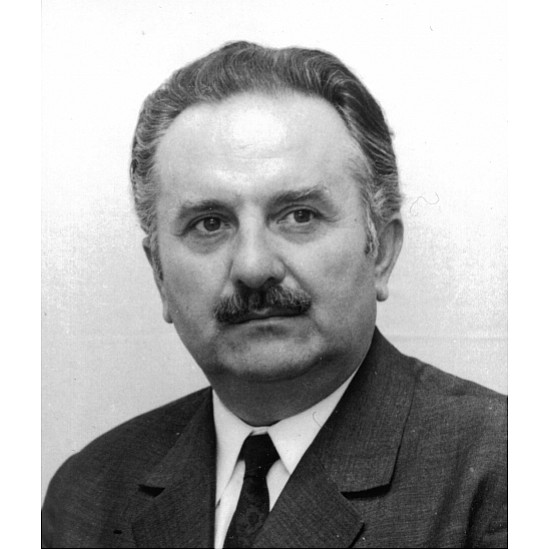 Image module