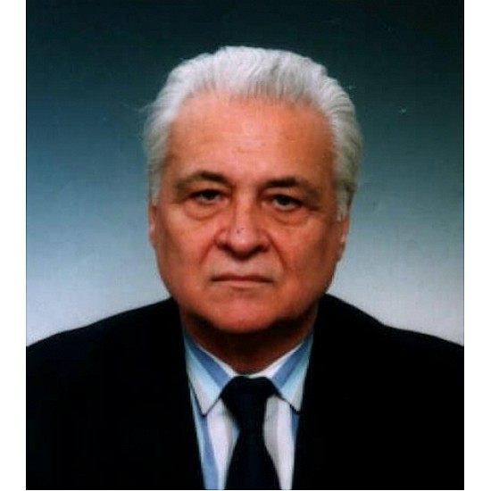 Image module