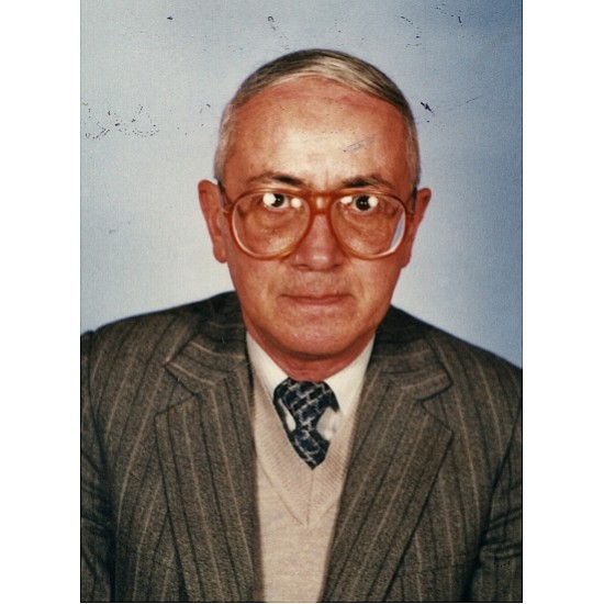 Image module