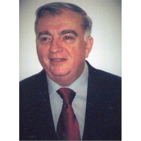 Image module
