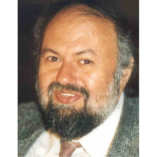 Image module