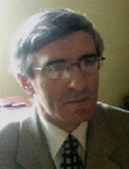 Rădulescu M. Mircea