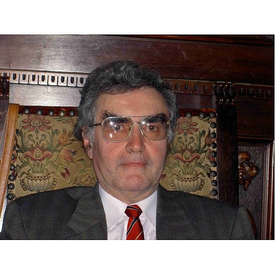 Image module