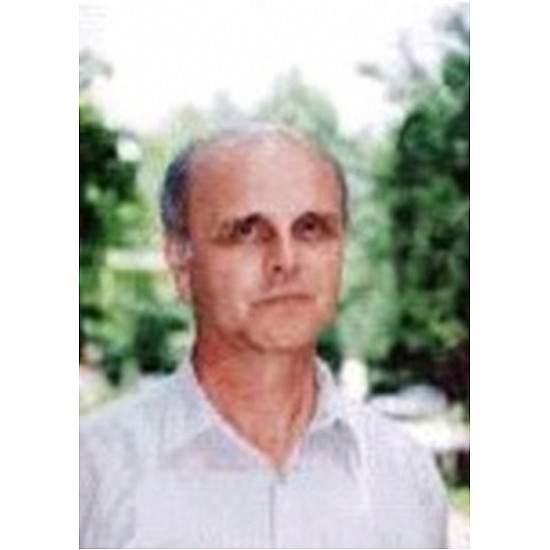 Image module