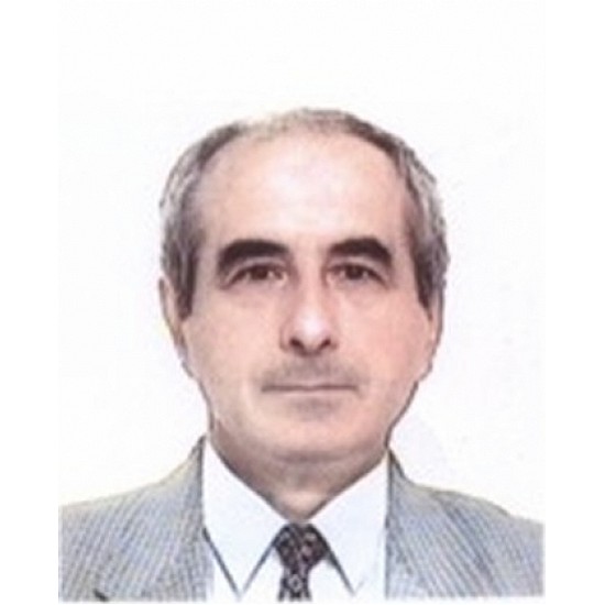 Image module