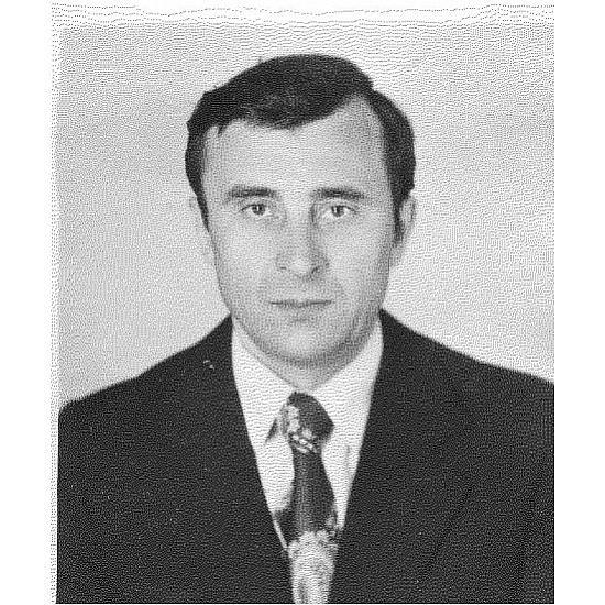 Image module