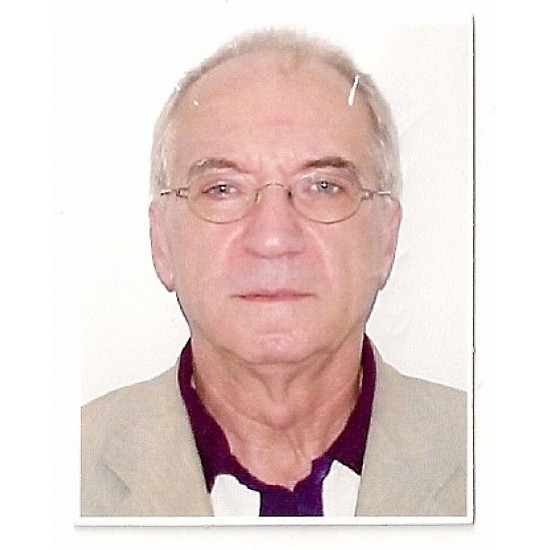Image module