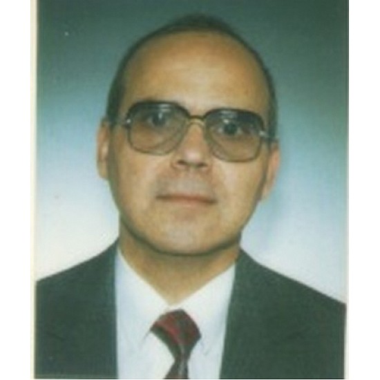 Image module