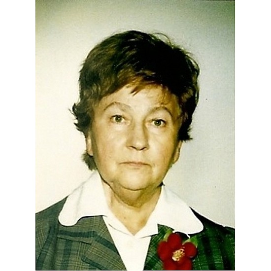Image module