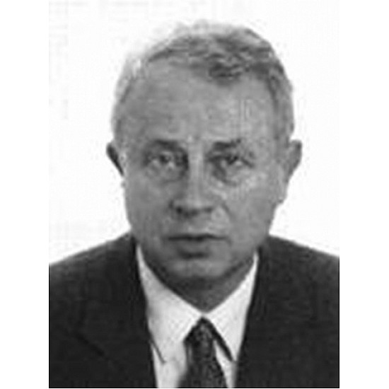 Image module