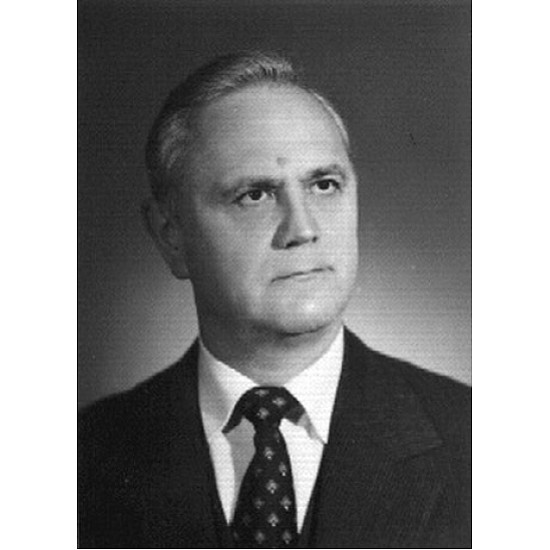 Image module