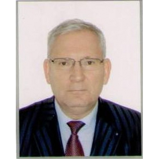 Image module