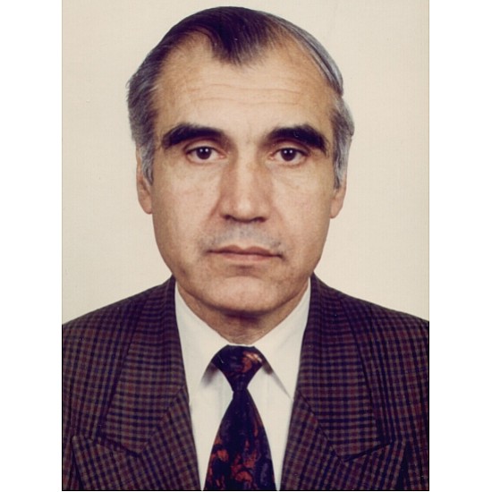 Image module