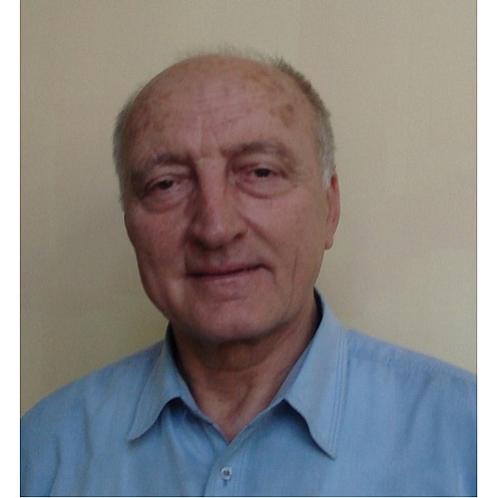 Image module