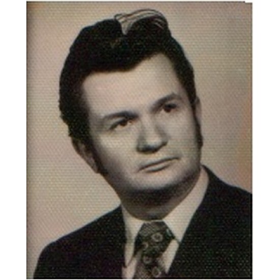 Image module
