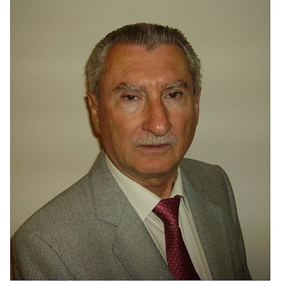 Image module