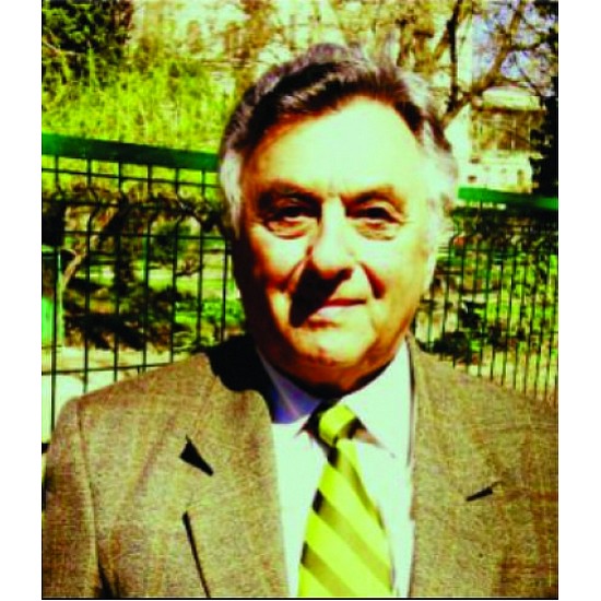 Image module