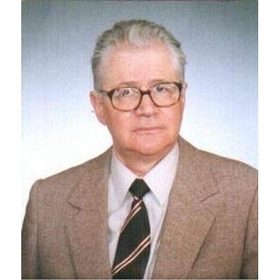 Image module