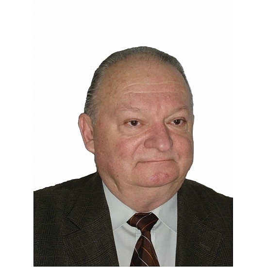 Image module