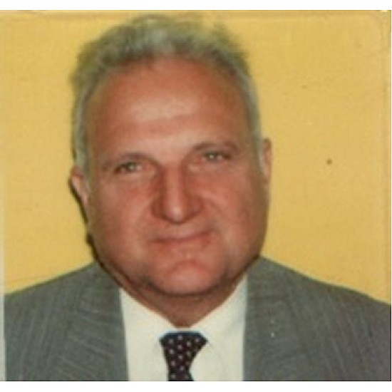 Image module