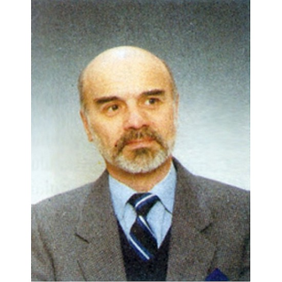 Image module