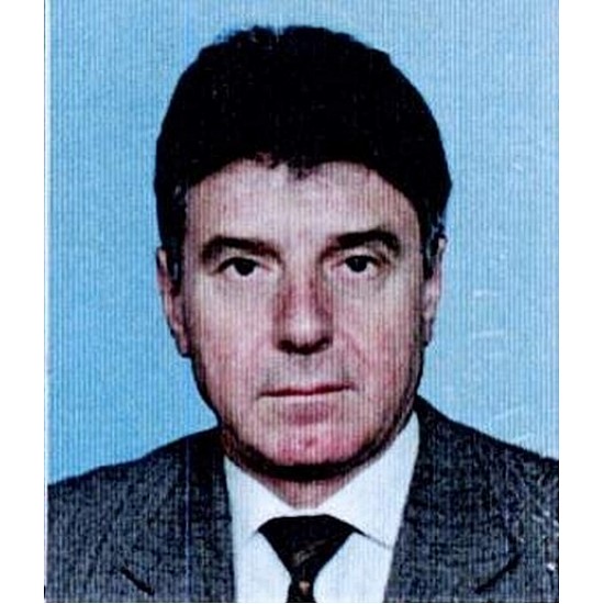 Image module