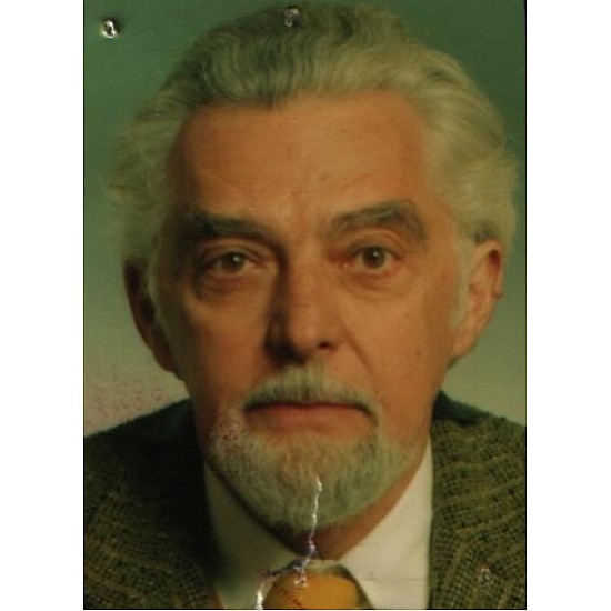 Image module
