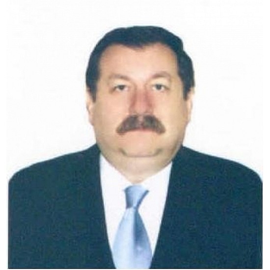 Image module