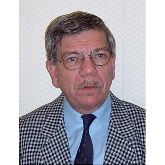 Image module